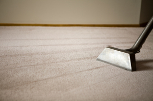Commercial Office Carpet Cleaning 