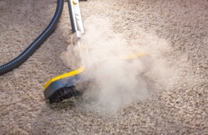 Why Is Commercial Carpet Cleaning Important?