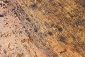 Keeping Moisture From Harming Your Hardwood Floors