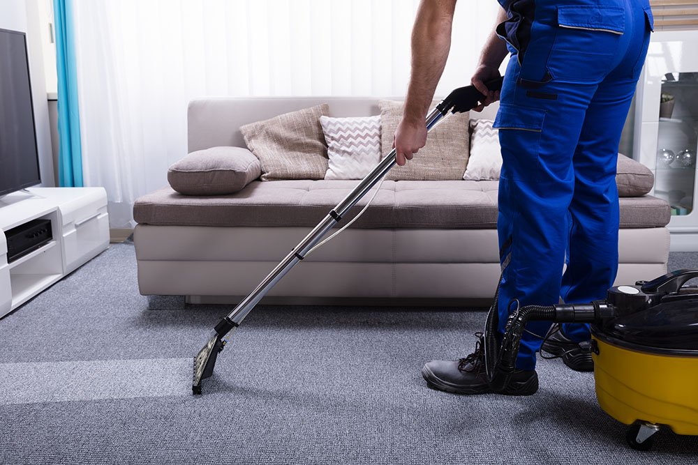 Why Hire Professional Carpet Cleaners? A 360 Cleaning