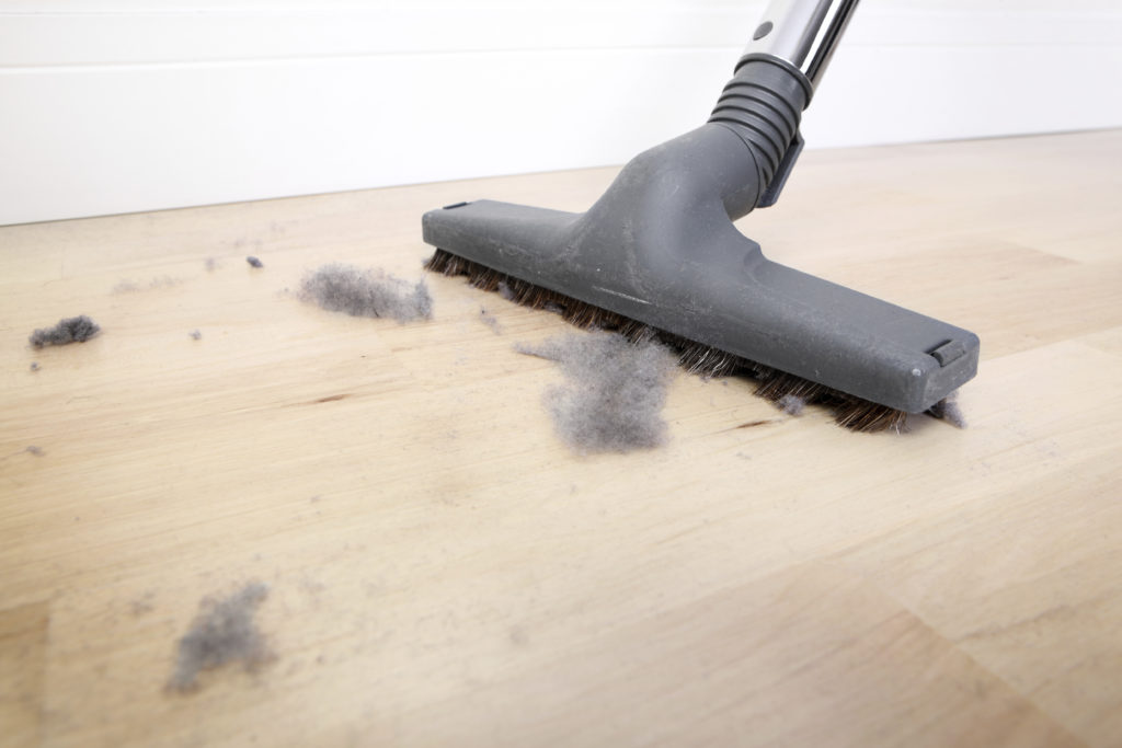 Home Dust Management Tips A 360 Cleaning