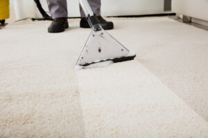 A 360 Cleaning Carpet Professionally Cleaned