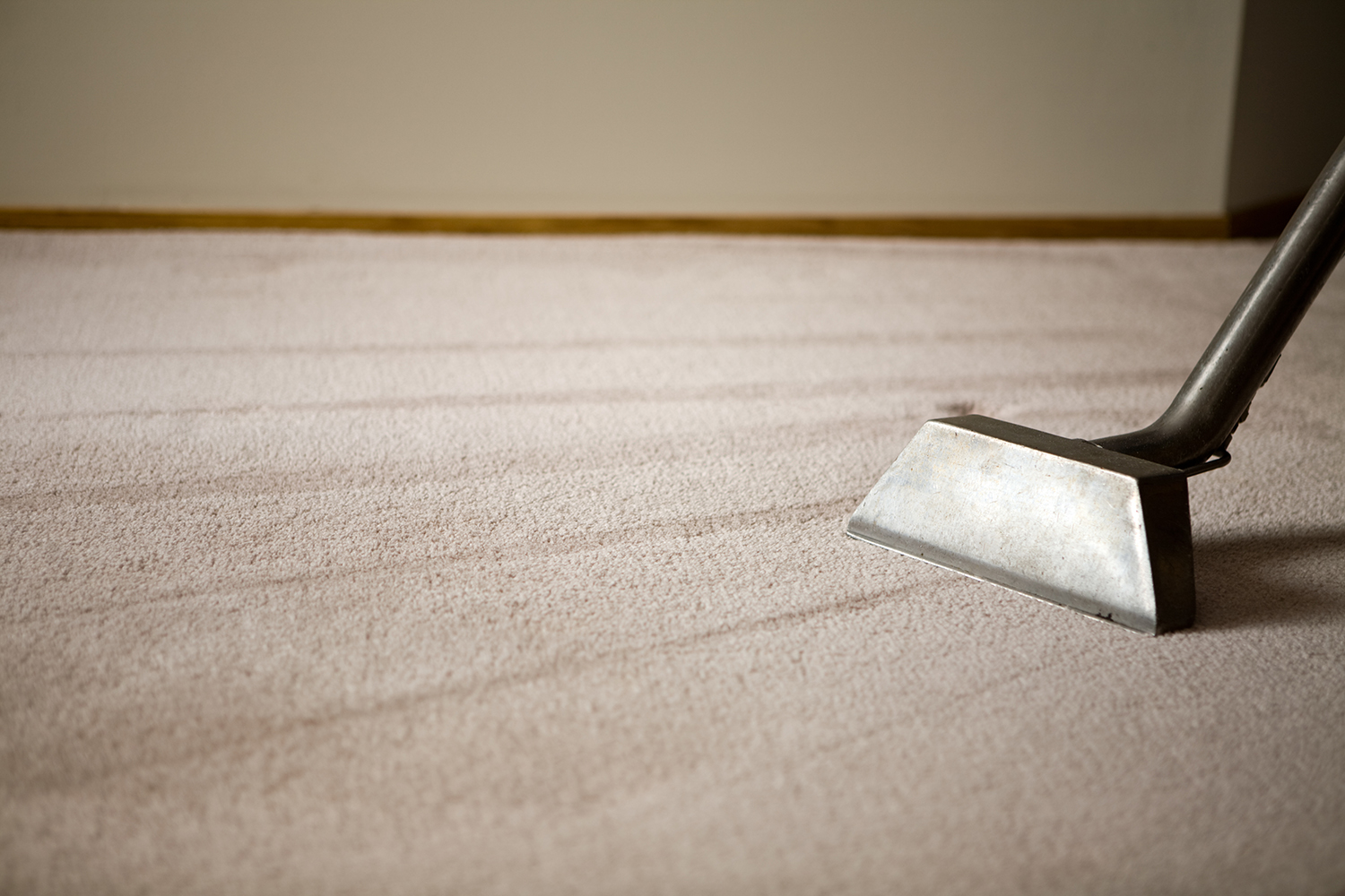 How Often Should Commercial Carpets Be Cleaned? A 360 Cleaning