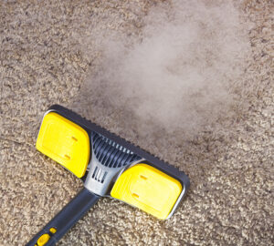 A 360 Cleaning Professional Carpet Cleaning in Winter
